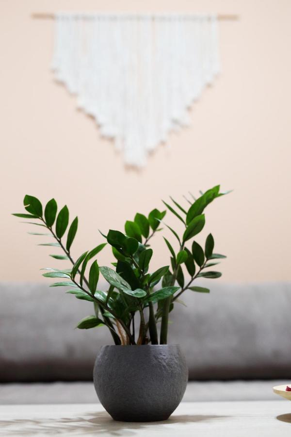 Ipelhome - Athens Heart Apartments 외부 사진